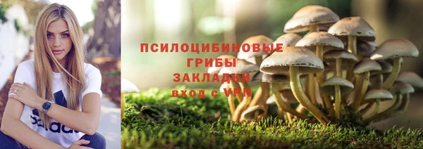 mdma Няндома