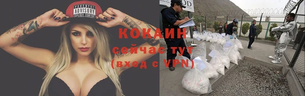 mdma Няндома