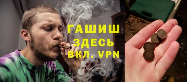 МДПВ Весьегонск