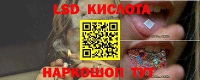 apvp Гатчина