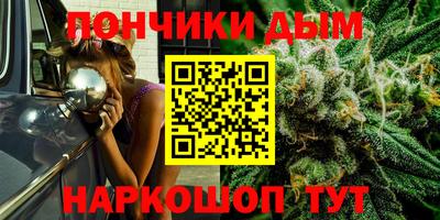 apvp Гатчина