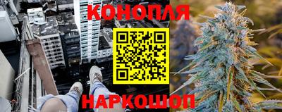 apvp Гатчина