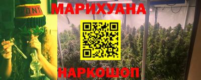 apvp Гатчина