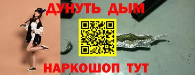 стаф Гай