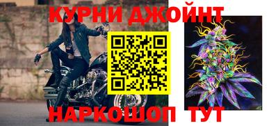 стаф Гай