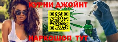 apvp Гатчина