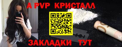 стаф Гай